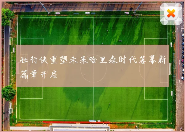 独行侠重塑未来哈里森时代落幕新篇章开启