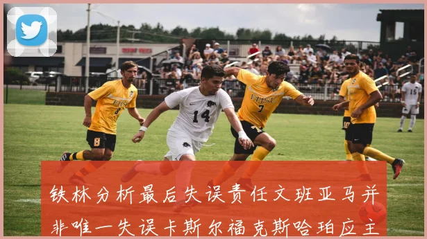 铁林分析最后失误责任文班亚马并非唯一失误卡斯尔福克斯哈珀应主动接球