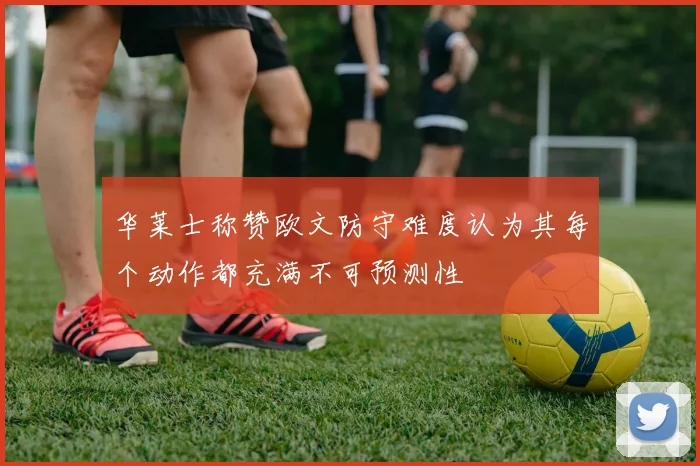华莱士称赞欧文防守难度认为其每个动作都充满不可预测性